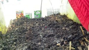 Первые посадки в теплице 1 апреля 2023 в Западной Сибири. Полный показ дачных работ.