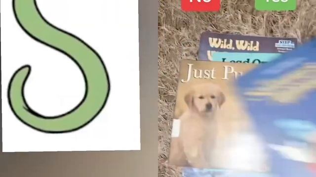 S react to Yes to no books смотреть онлайн