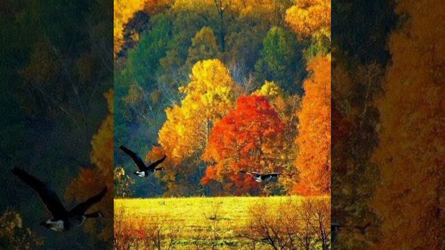 доброе утречко осеннего тепла смотреть онлайн