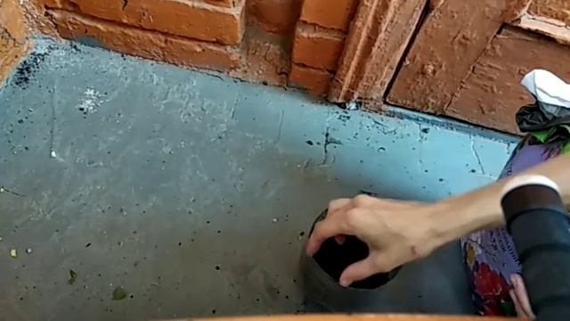 Обрезка роз после цветения. Укоренение черенков смотреть онлайн