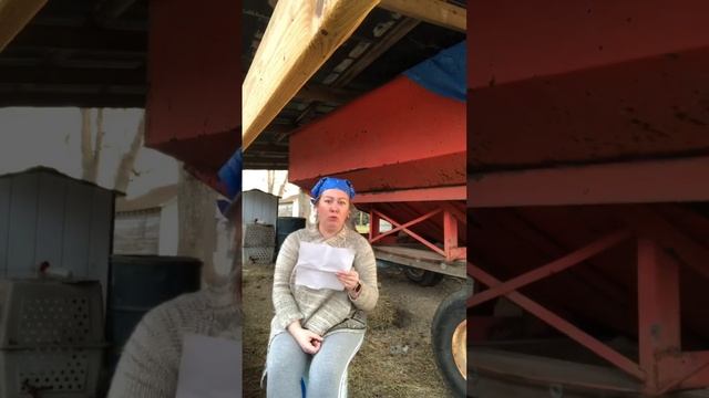 Знакомьтесь? #ДашетЕгоровна #юмор #жизньвсша