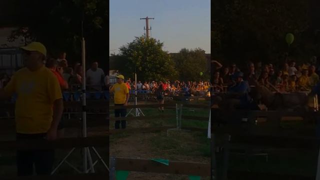 Palio Degli Asini Novagli 2019. Скачки на ослах!