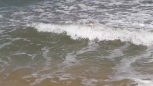 СИЛЬНЫЕ ВОЛНЫ НА АЗОВСКОМ МОРЕ