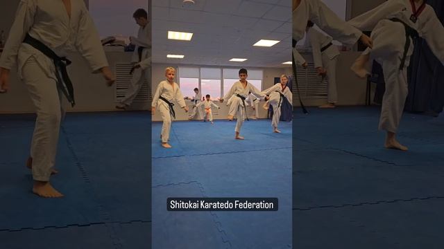 Сборы по каратэдо в августе 2023 г.Московский смотреть онлайн