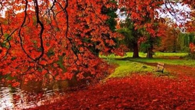 ЗОЛОТАЯ ОСЕНЬ стихи Алёши Крылова, читает-Валентина Крылова смотреть онлайн