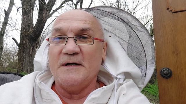 Отцовские семьи, первая пчелка 2022 году смотреть онлайн