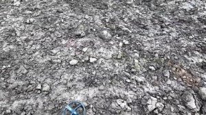 Коп с XP Deus на классном поле полном находок!