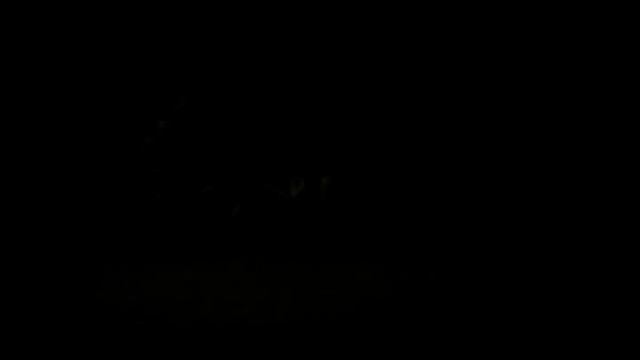 Достоевская - Ремонтируемая Лиговский проспект - Площадь Александра Невского смотреть онлайн