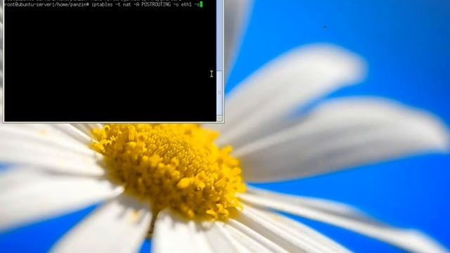 linuxnaservere смотреть онлайн