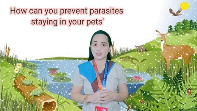 Science 4 Q2 Week 8 Harmful Interactions Among Living Organisms смотреть онлайн