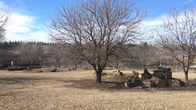 РАЗНЫЕ ЗВЕРИ И МОЁ ПОЛЗАНИЕ В НОРЕ 2 часть смотреть онлайн