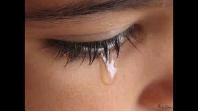 Sertão de japuré смотреть онлайн