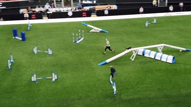 MIYA Sandi Okanovič Small Agility AWC 2019 смотреть онлайн