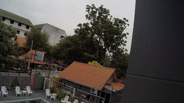 Тайланд Паттая, какое то животное звуки издаёт смотреть онлайн