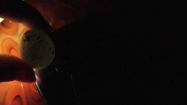 Что внутри яиц? Овоскопия! Цыплята из магазинных яиц! самодельный #инкубатор