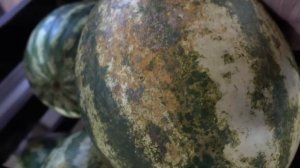 VLOG Тётя Дина разбила голову