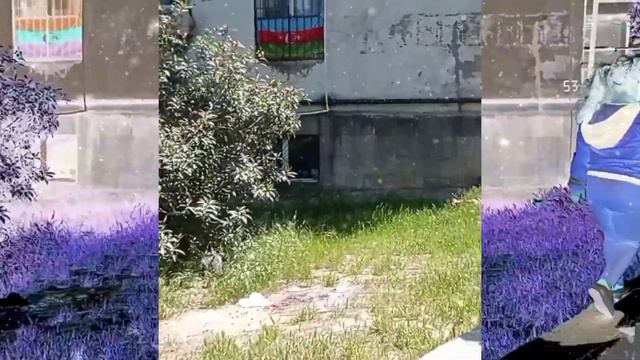 2021 Baku Azerbaijan 🇦🇿 Ruslana Mirzoeva ❤️ #like #ruslana #abc #baby #Baku #2021 like смотреть онлайн