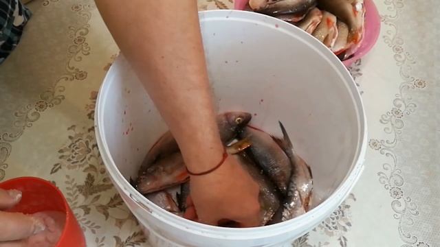 Один из вариантов засолки и вяления рыбы,на который стоит согласиться. смотреть онлайн
