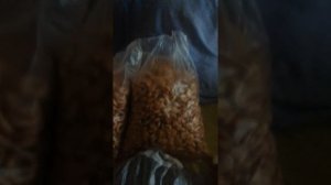 Посылка сыну в СИЗО.