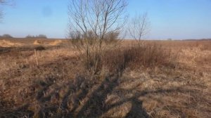 ЗАБРОШЕННЫЕ УРОЧИЩА ,В ПОИСКАХ ХАБАРА - ВЕСНА НАЧАЛАСЬ ПОРА КОПАТЬ !!!