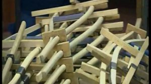 Как сделать снегоступы