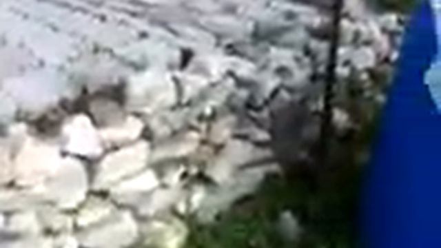 Заборы на даче из камня смотреть онлайн