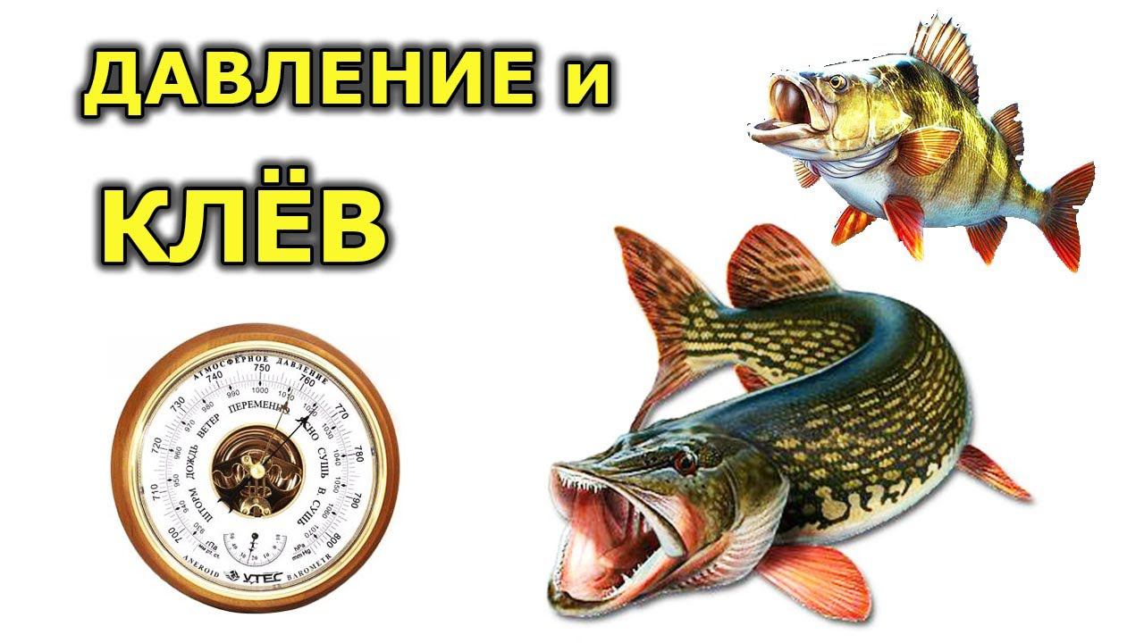 Давление для рыбалки зимой и летом. При каком давлении клюет рыба. Давление и клев рыбы смотреть онлайн
