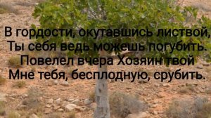 Под горой смоковница растёт - христианская песня.