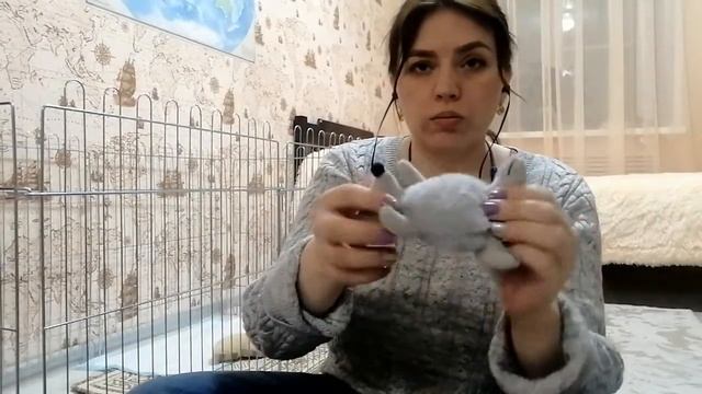 Шпиц в доме. Покупки для собаки. Первые впечатления? смотреть онлайн