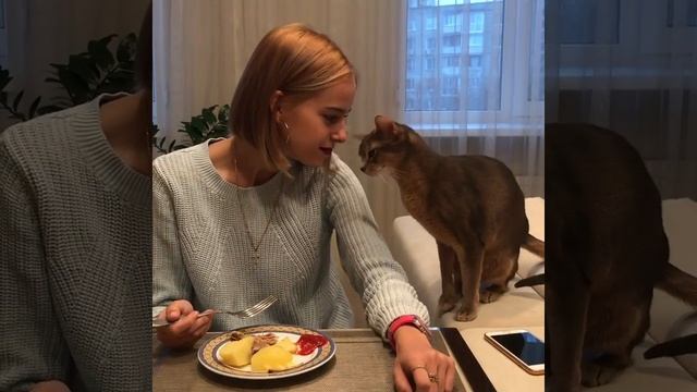 Актёр, у которого ещё нет Оскара или на что способен кот ради кусочка мяса смотреть онлайн