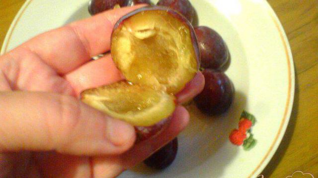 1000 и 1 рецепт