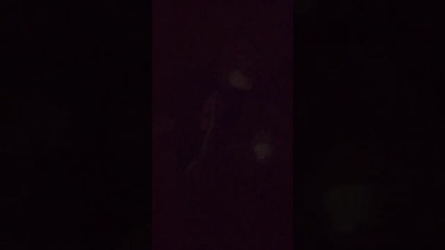 ВЛАД БАХОВ. ВСЁ ПО НЕМНОГУ смотреть онлайн