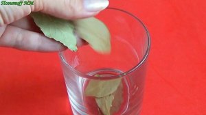 5 ЛИСТИКОВ избавят от Облысения и Ускорят Рост Волос. СИЛЬНАЯ маска при выпадении волос.