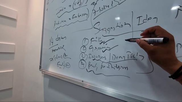 🙋♂️2024 POLAND REJECTION NUMBERS 8 , 9 , 10 🤔🤔🤔🤔🤔 смотреть онлайн