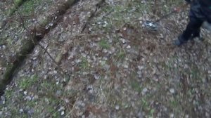 РЕАЛЬНЫЙ ПОИСК с Nokta Makro Simplex и Minelab Equinox 600 / Реакция на одинаковые цели!