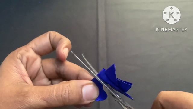 Pepper Craft, Pepper Designing.(A J TECH CRAFT).##*,.