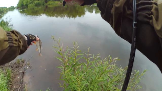 Рыболовные Моменты