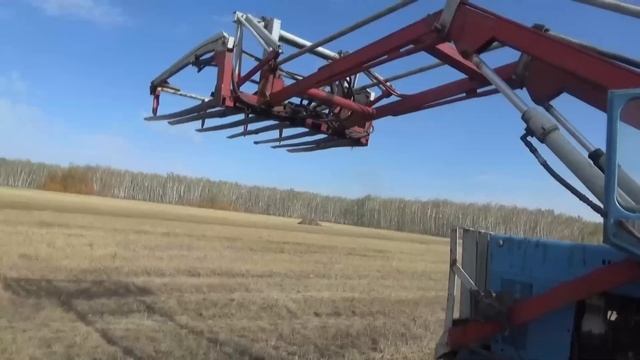 Новый друг пометил кучу сена. смотреть онлайн