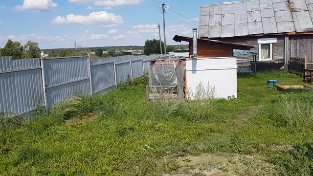 Цесарки и многочисленная компания малышей. Пара слов про огород. смотреть онлайн