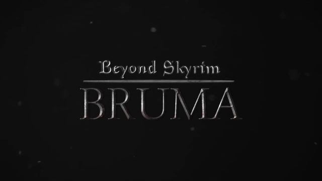 Skyrim Anniversary Edition Полный обзор Нового Юбилейного Скайрима и Клуба творчества смотреть онлайн