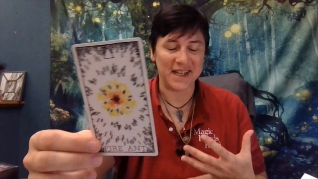 Nov 5 Animal Spirit & Mystical Shaman Oracle смотреть онлайн
