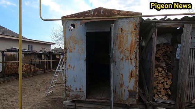 Все Выставки Отменены / Новая голубятня для Молодых / My little pigeon loft! смотреть онлайн