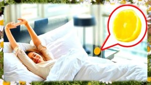 10 растений которые очищают легкие. Как легко очистить легкие без затрат