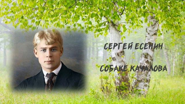С. Есенин. Собаке Качалова смотреть онлайн