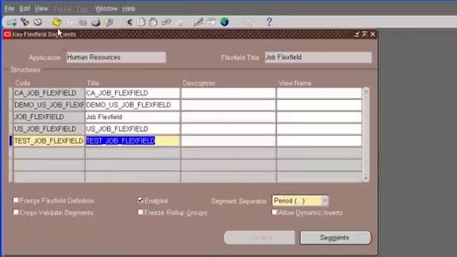 Oracle Apps Training - Key Flexfield смотреть онлайн