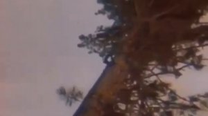 Две полоски звонкой стали: новая песня о БАМе
