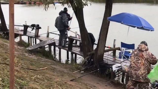 09.10.23 запуск форели 150 кг смотреть онлайн