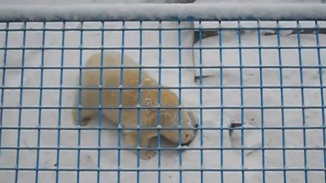 Кай и Герда смотреть онлайн