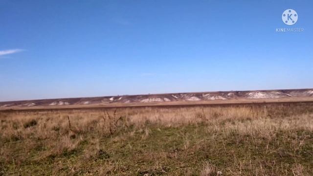 Совмещаем три в одном (пасьба коров, коп и гонки ралли). смотреть онлайн