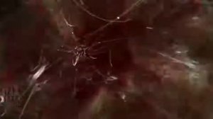 северус снейп і марадери